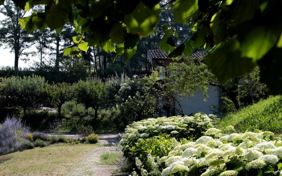 Il Borgo Delle Grazie Villa Ovada Esterno foto